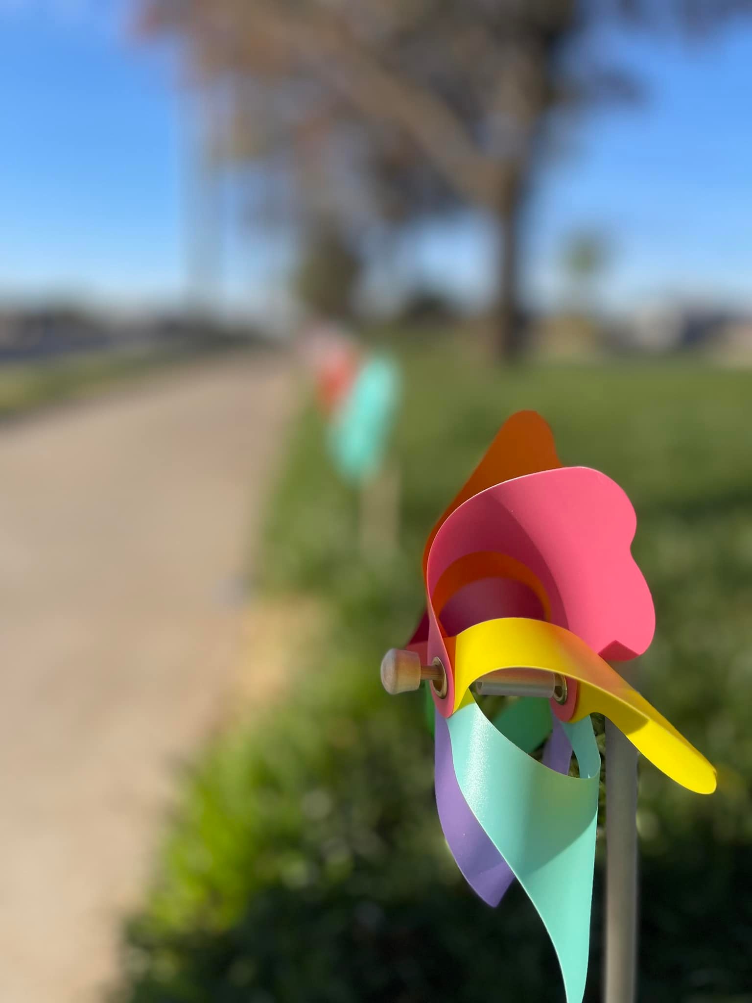 Close-up of a colorful pinwheel with pink, orange, yellow, and teal petals along a path